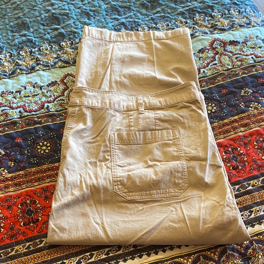Coldwater Creek Tan Ankle Pants